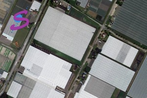Illustratie: screendump van Google Map Gravin Bylandtlaan 's-Gravenzande. De foto is geplaatst bij de pagina die de route naar Stolk Potplanten weergeeft.