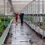 Illustratie: foto van twee uitzendkrachten tijdens het verplaatsen van het Walking Plant System.